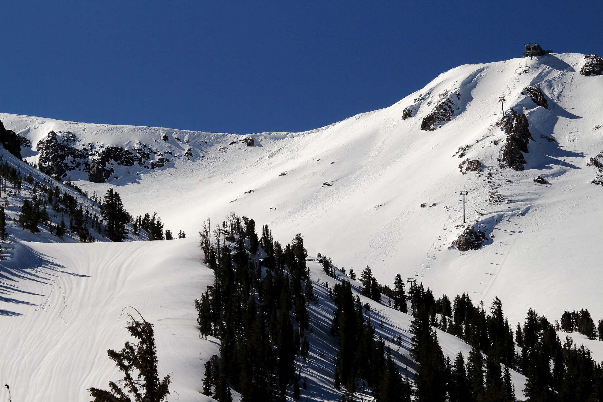 Cornice Bowl to the Drop Outs