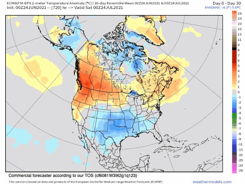 45 Day Temperature Anomaly Outlook