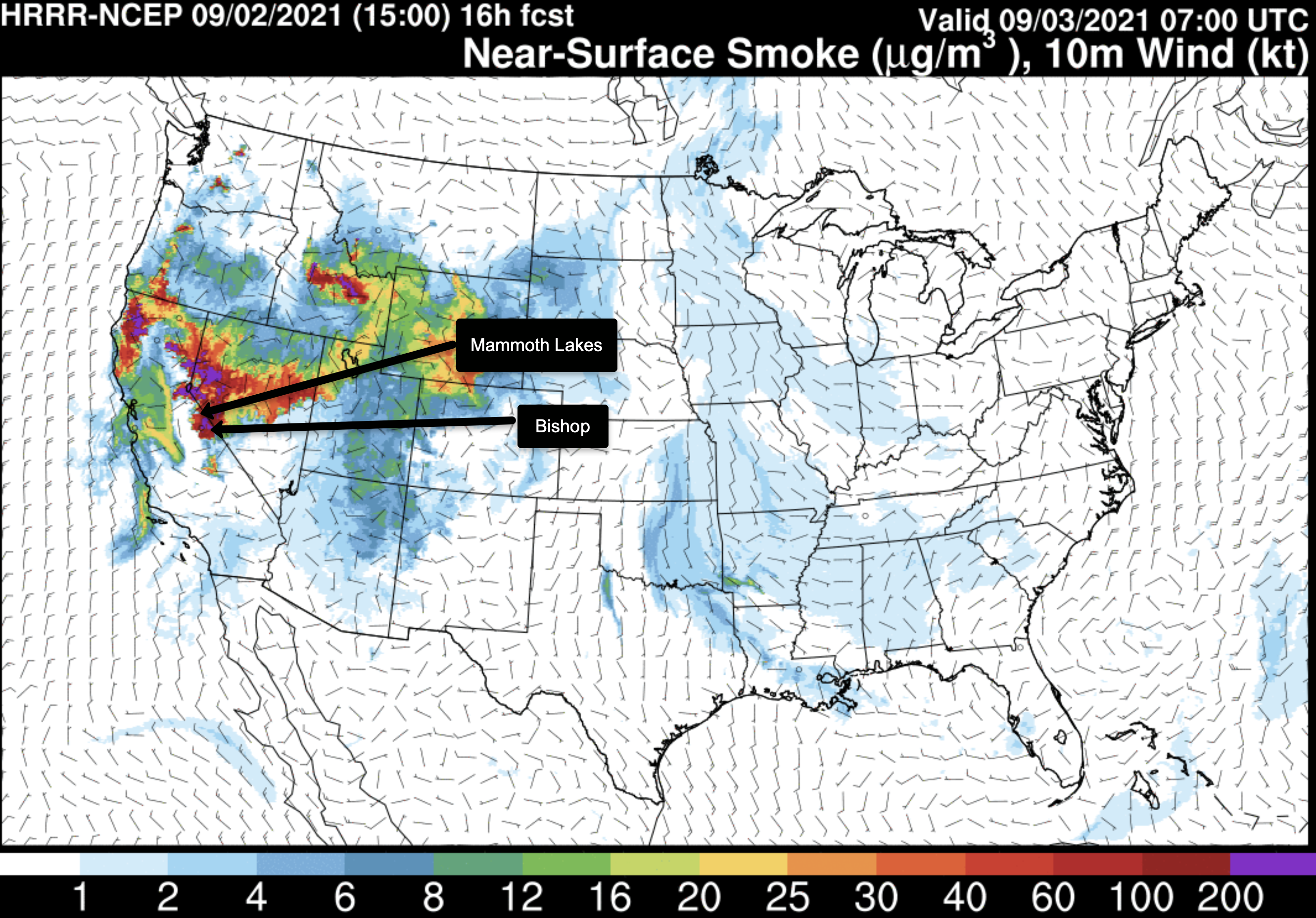 Air Quality Forecast for Friday at 10 AM - Moderate Levels of Haze and Smoke