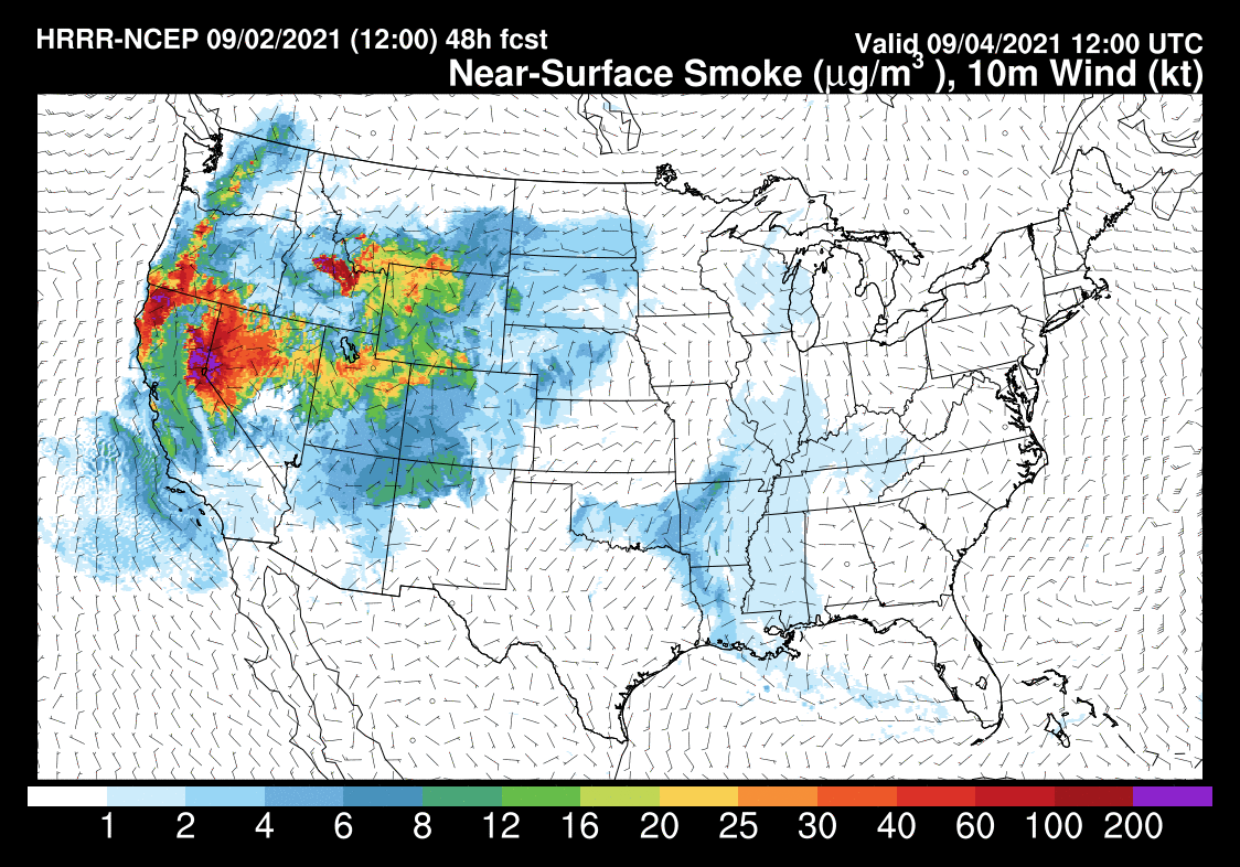 Air Quality Forecast for Friday at 10 AM - Moderate Levels of Haze and Smoke