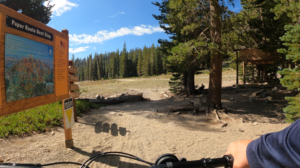 Read more about the article Eastern Sierra Mountain Bike Report Saturday