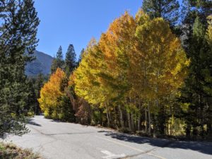Read more about the article Eastern Sierra Fall Color Photos 2021