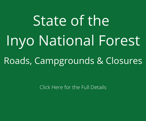 Read more about the article State of The Inyo National Forest