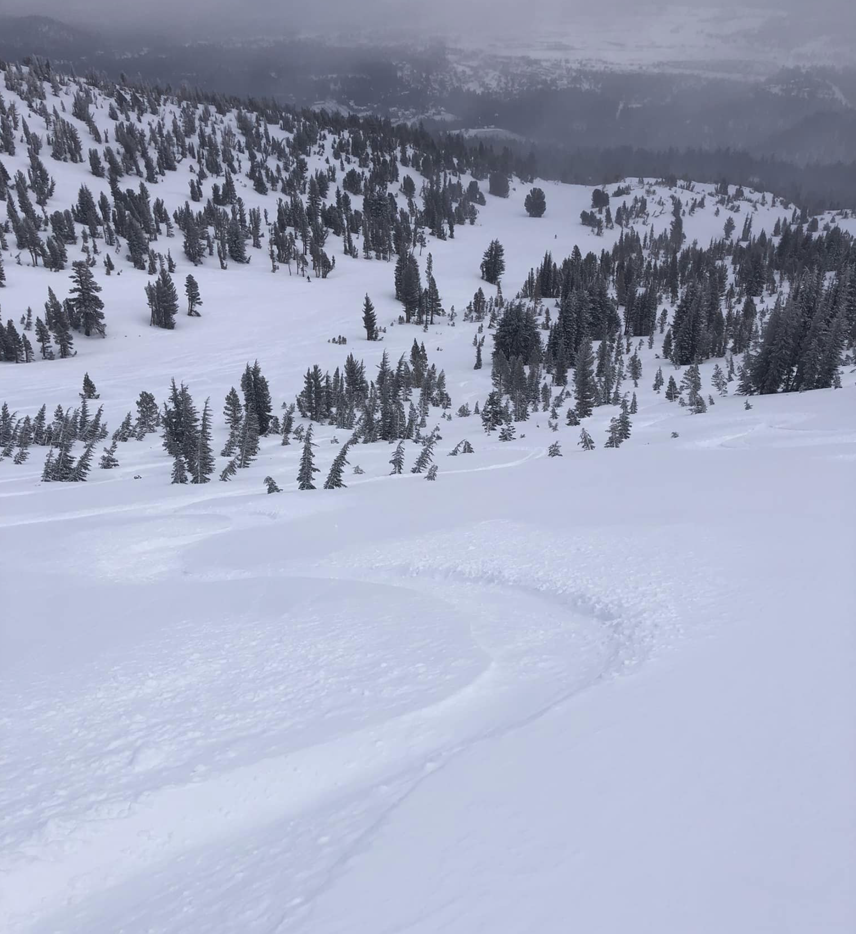 You are currently viewing Mammoth Mountain Snow Report from the Snowman