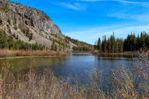 Read more about the article Photos: Mammoth Lakes Area Late May