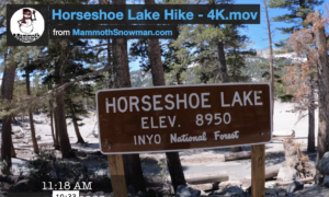 Read more about the article Video: Horseshoe Lake Hike