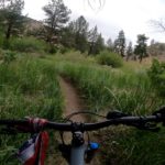 Eastern Sierra Mountain Biking Report