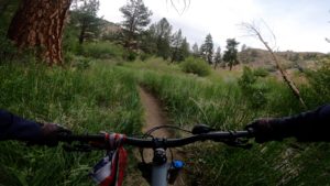 Read more about the article Eastern Sierra Mountain Biking Report