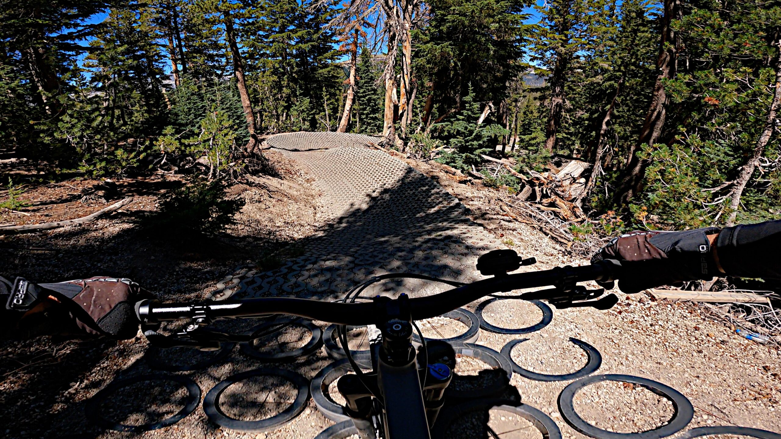 Twilight Zone Trail in the Mammoth Mountain Bike Park
