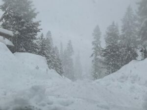 Read more about the article Mammoth Weather Update