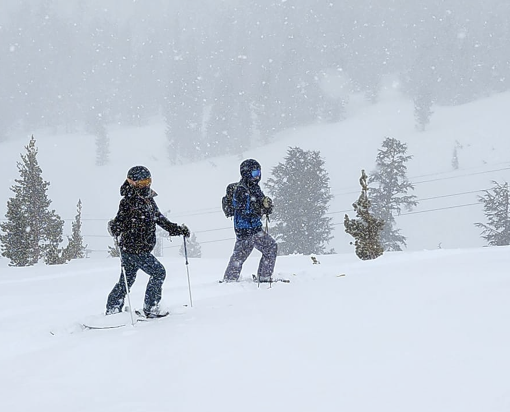 Read more about the article Mammoth Mountain & Eastern Sierra Afternoon Update