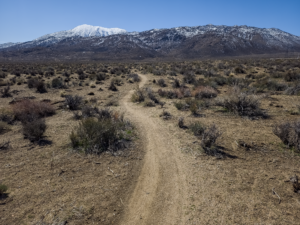 Read more about the article Eastern Sierra Mountain Biking Update