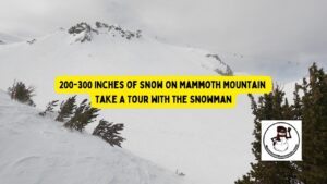 Read more about the article Video: Snow Tour of the 200-300 Inches of Snow at The Mammoth Mountain Ski Area