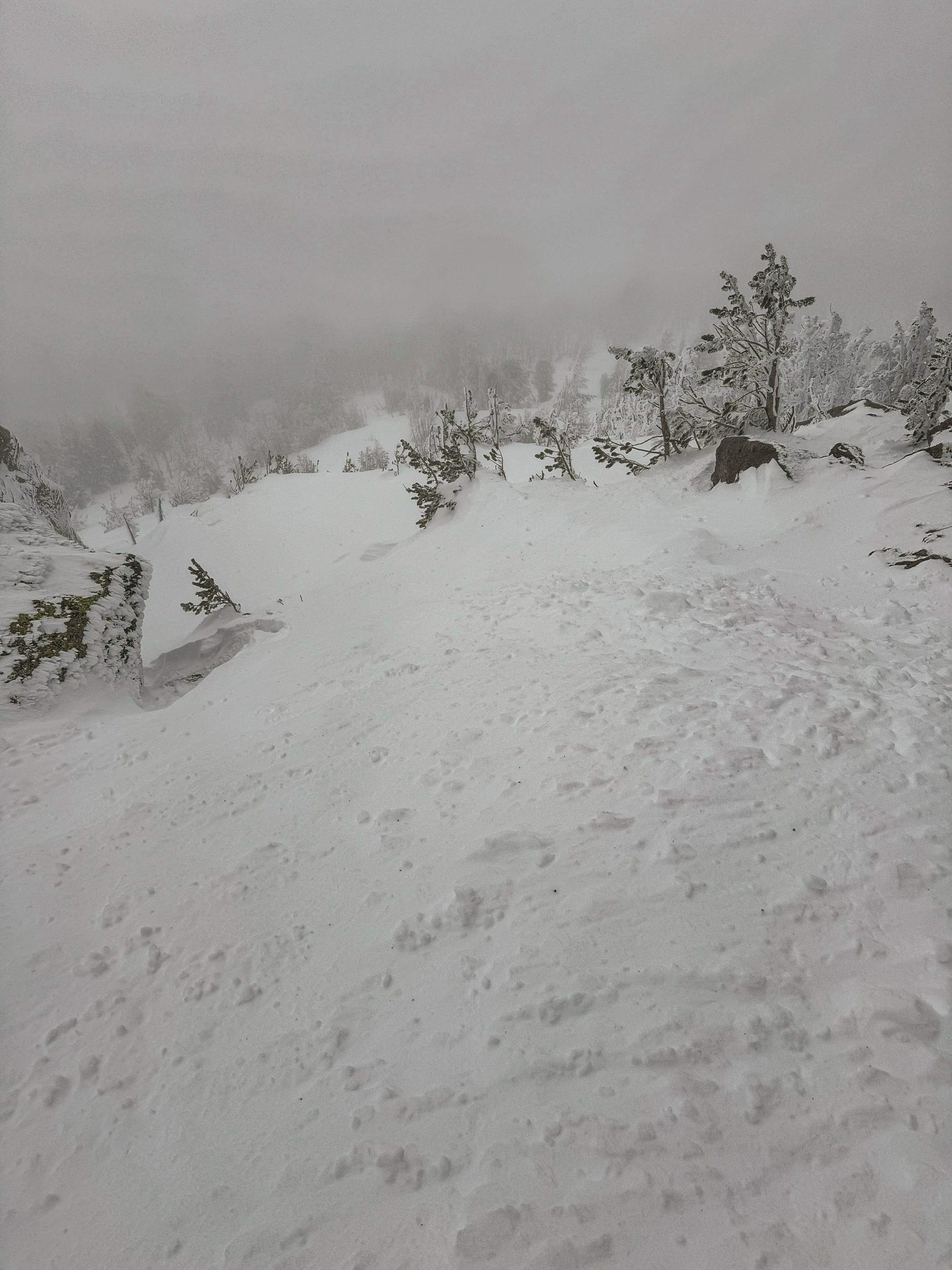 Mammoth Mountain Ski Area -3-31-24 - Photo Ryan H.