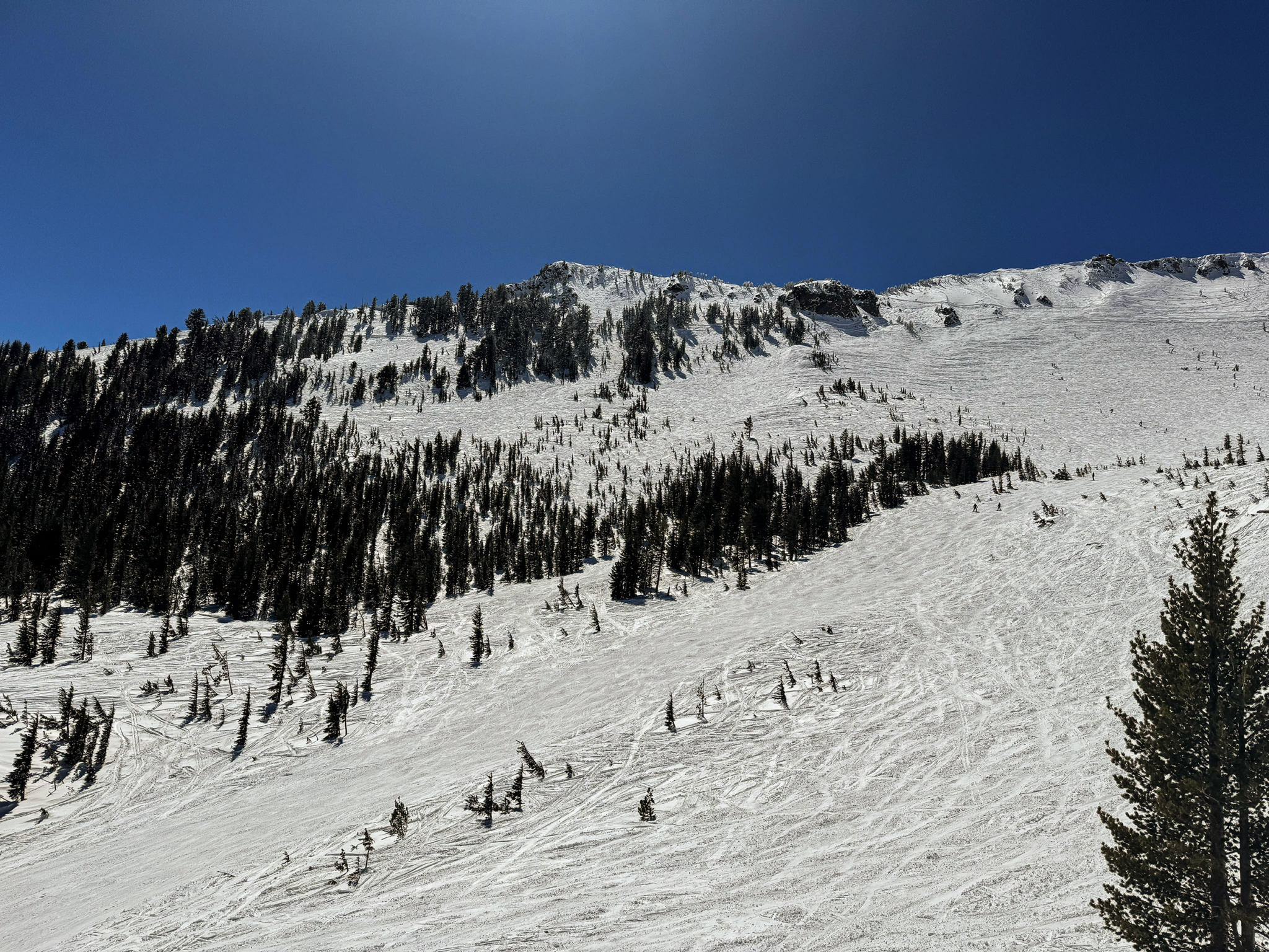 Mammoth Mountain Ski Area -3-31-24 - Photo Ryan H.